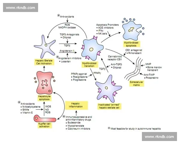 主场优势驱动竞技表现与心理博弈的综合影响研究机制与策略启示 主场优势驱动竞技表现与心理博弈的综合影响研究机制与策略启示