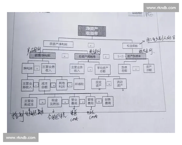 从多维数据解读趋势变化揭示行业发展真实逻辑与未来走向分析路径