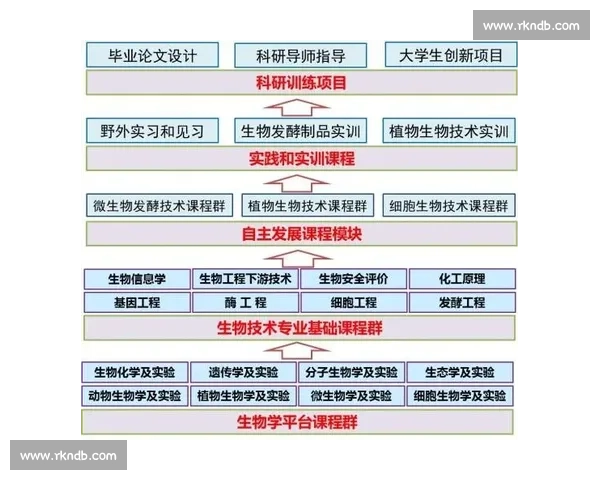 新时代足球行业品牌建设与价值提升创新路径探索战略研究与实践